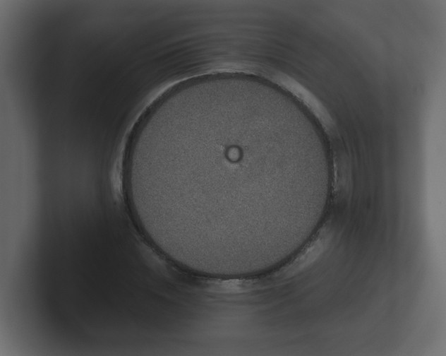 X0000102800828200808251047