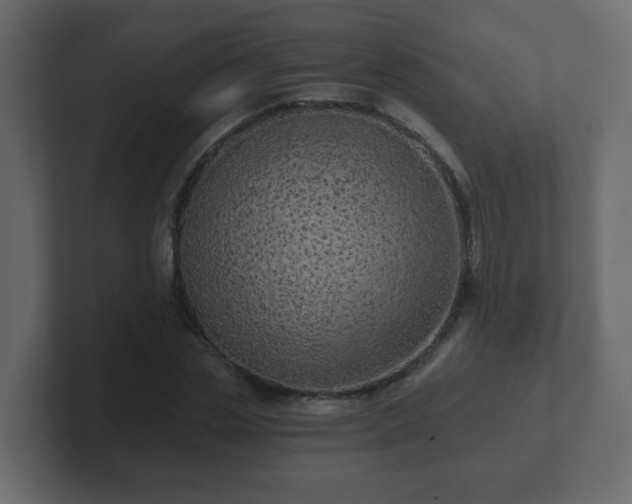 X0000102800829200808251047