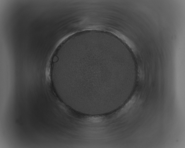 X0000102800830200808251047