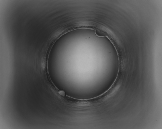 X0000102800833200808251047