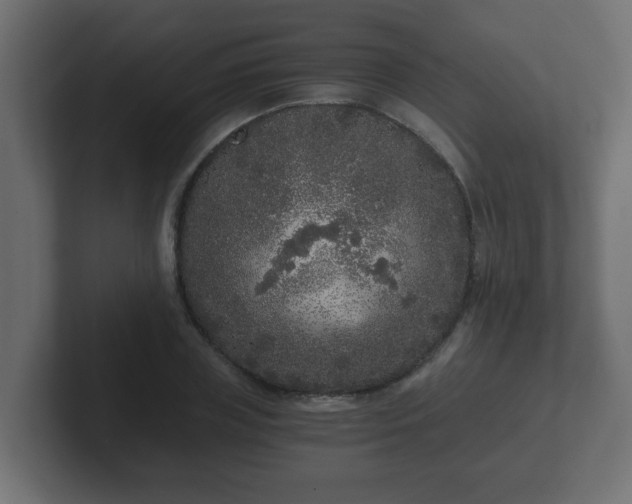 X0000102800835200808251047