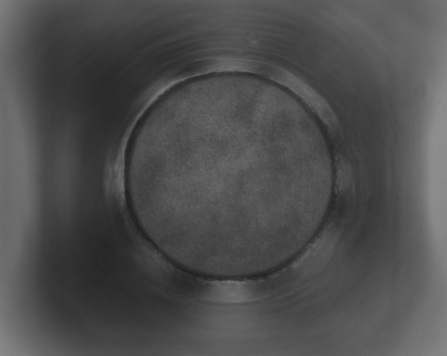 X0000102800836200808251047