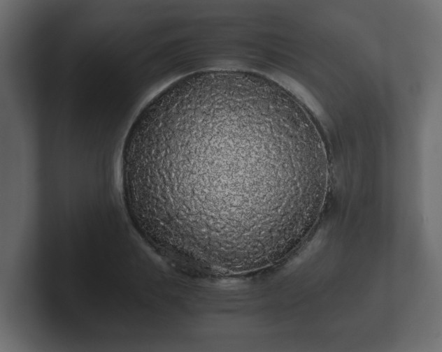 X0000102800839200808251047