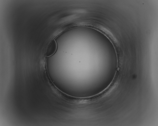 X0000102800841200808251047