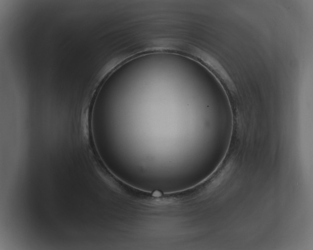 X0000102800842200808251047