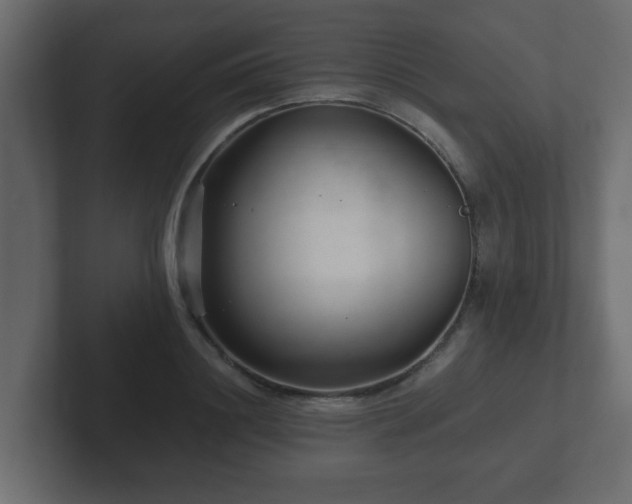 X0000102800844200808251047