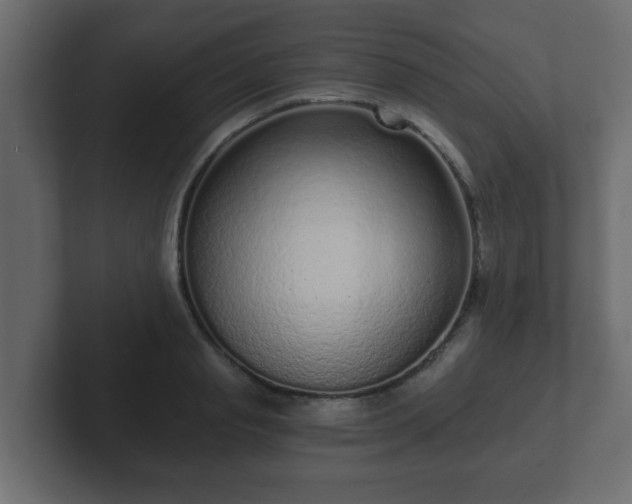 X0000102800845200808251047