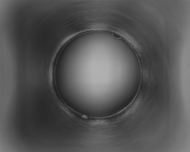 X0000102800846200808251047