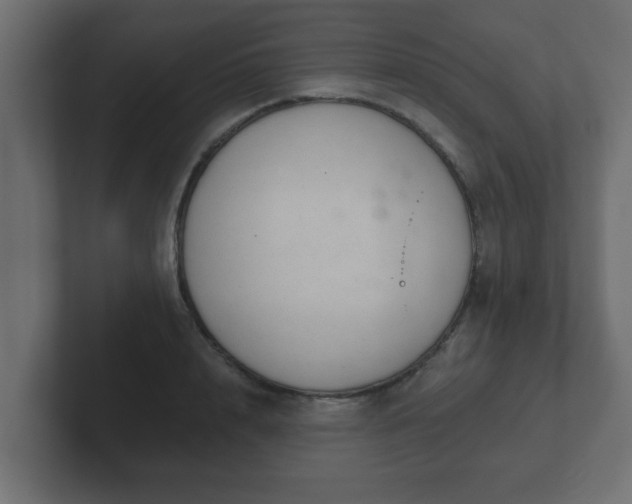 X0000102800848200808251047