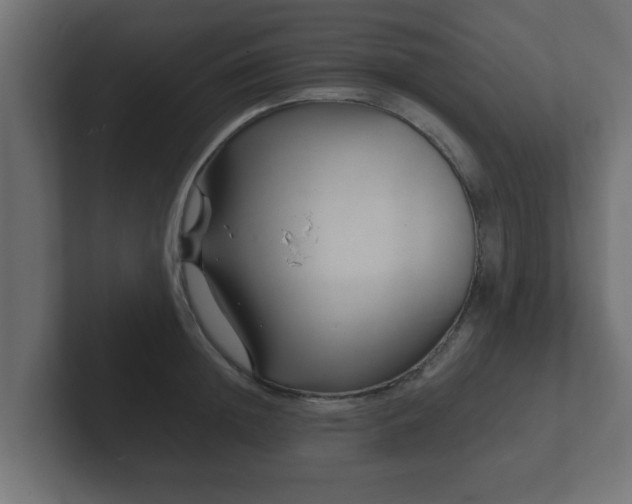 X0000102800852200808251047