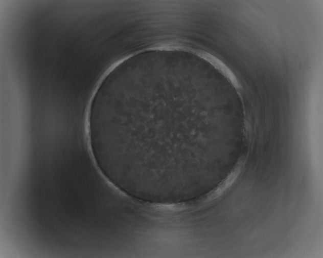 X0000102800855200808251047