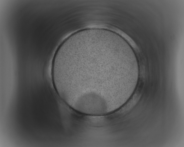 X0000102800856200808251047