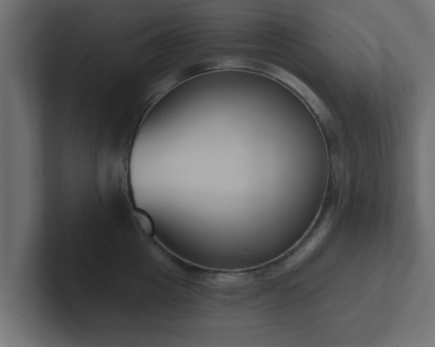 X0000102800857200808251047