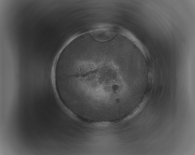 X0000102800859200808251047