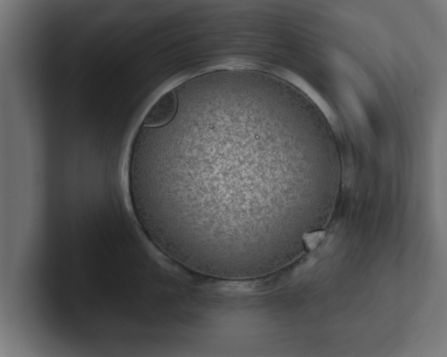 X0000102800861200808251047