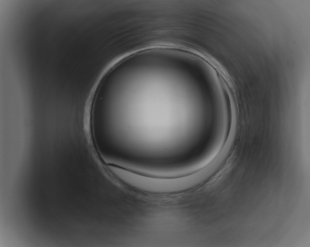 X0000102800862200808251047