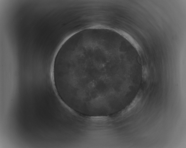 X0000102800863200808251047