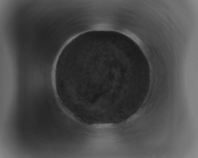 X0000102800864200808251047