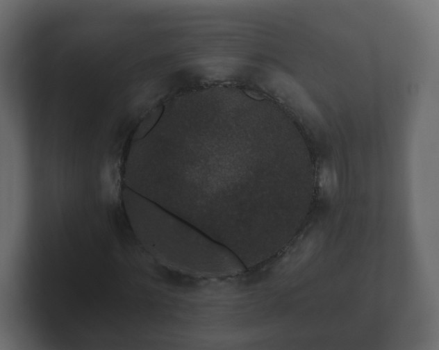 X0000102800868200808251047