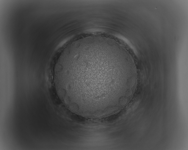 X0000102800871200808251047