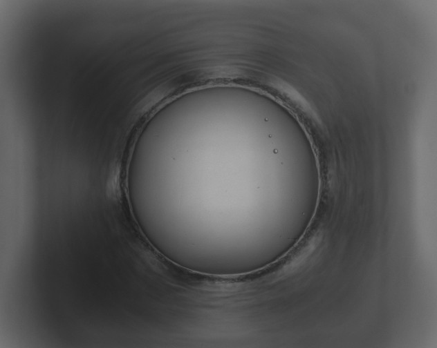 X0000102800873200808251047