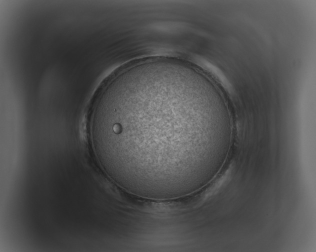 X0000102800875200808251047