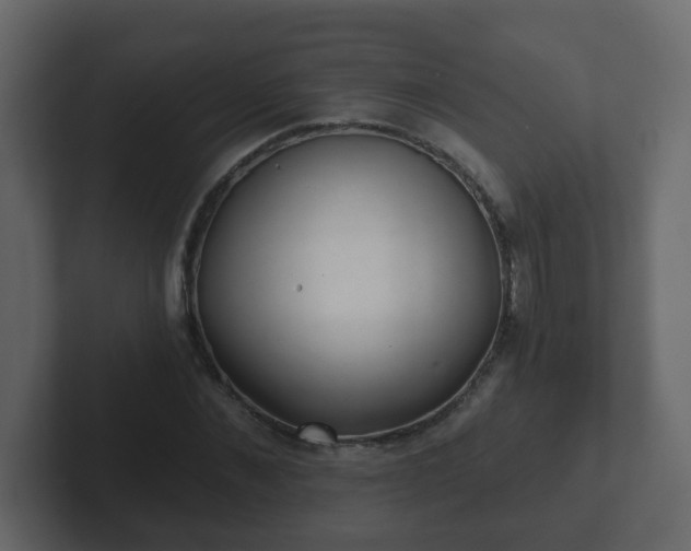 X0000102800876200808251047