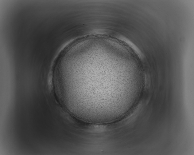 X0000102800878200808251047