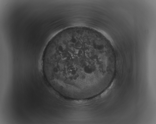 X0000102800879200808251047