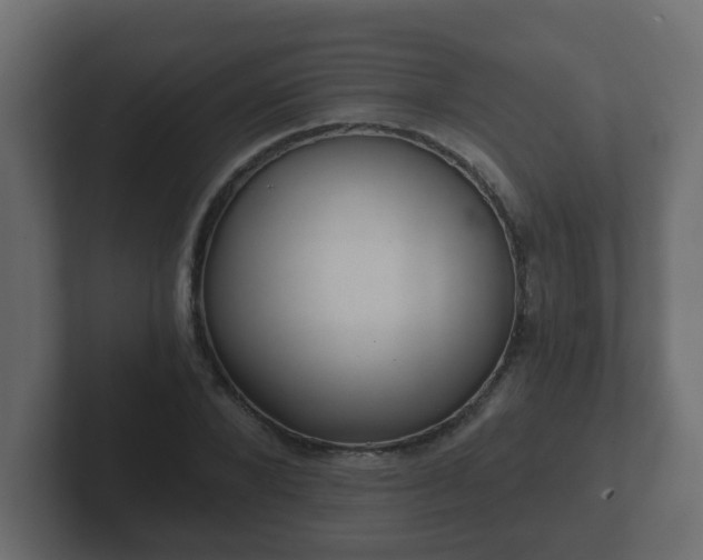 X0000102800880200808251047