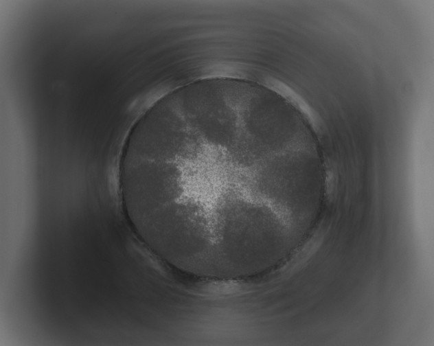 X0000102800882200808251047