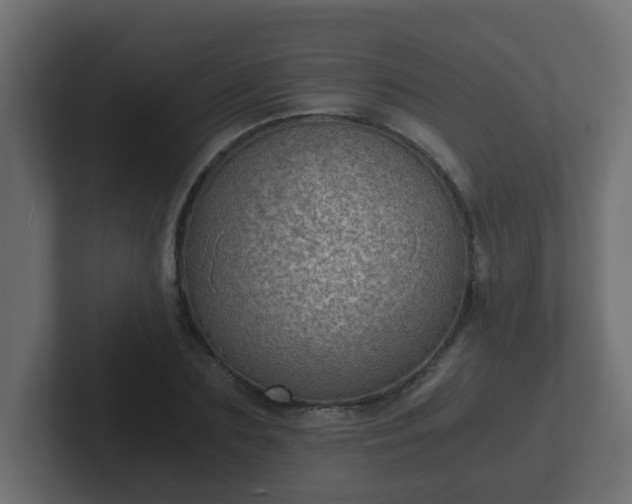 X0000102800883200808251047