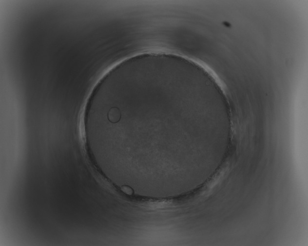 X0000102800887200808251046