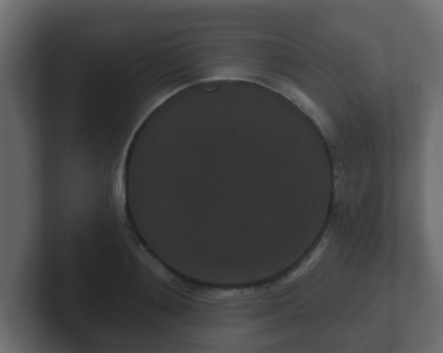 X0000102800892200808251046