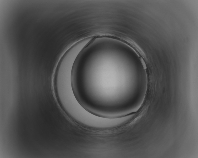 X0000102800893200808251046