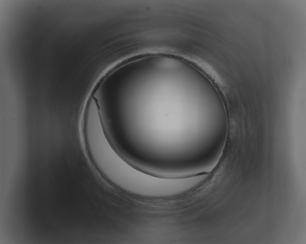 X0000102800895200808251046