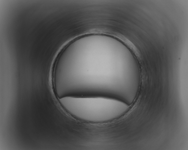 X0000102800896200808251046