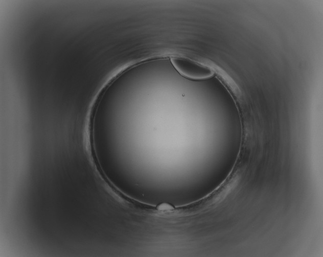 X0000102800902200808251046