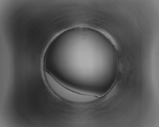 X0000102800903200808251046