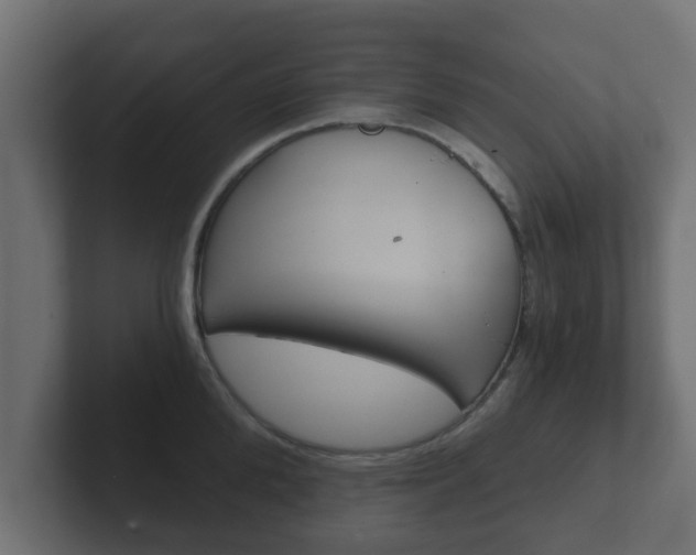 X0000102800904200808251046