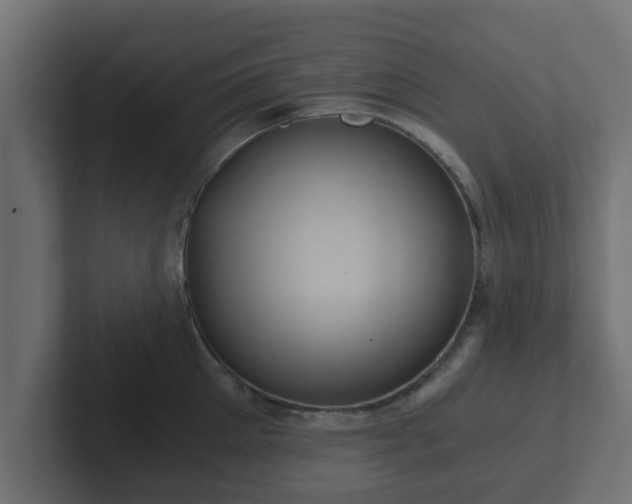 X0000102800905200808251046