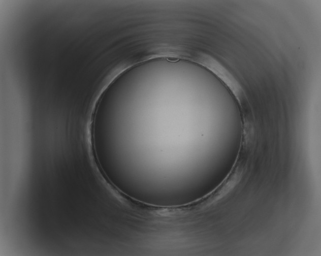 X0000102800906200808251046