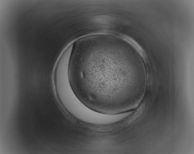 X0000102800907200808251046