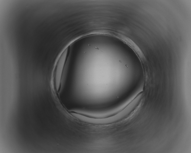 X0000102800908200808251046