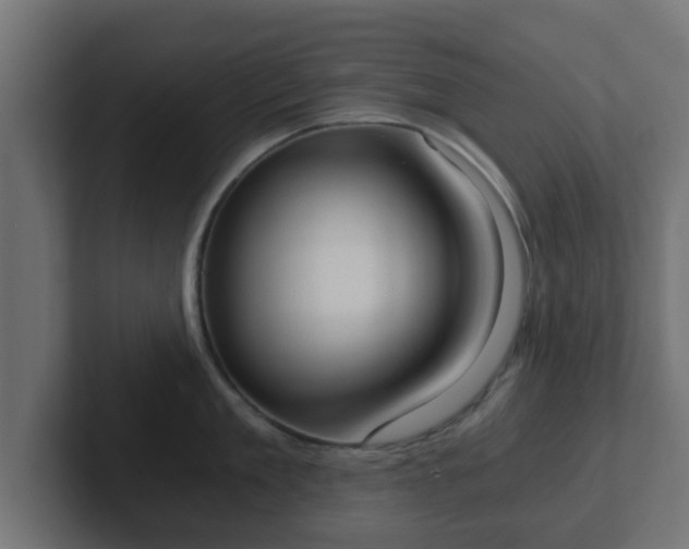 X0000102800909200808251046