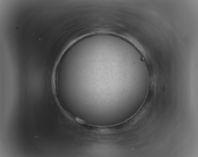 X0000102800911200808251046