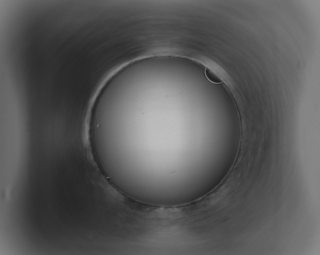 X0000102800912200808251046