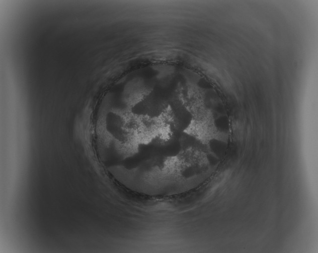 X0000102800913200808251046