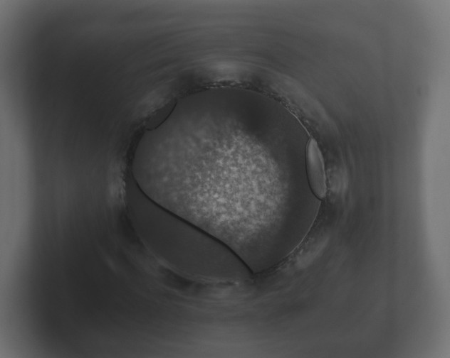 X0000102800916200808251046