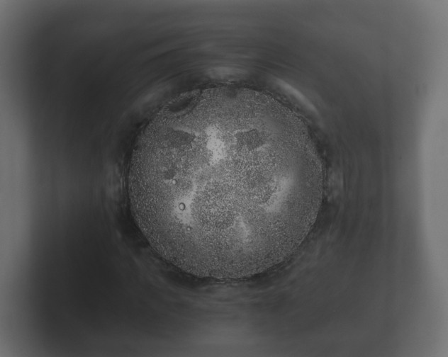 X0000102800917200808251046